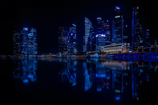 经济发展的步伐与狗子的旅行