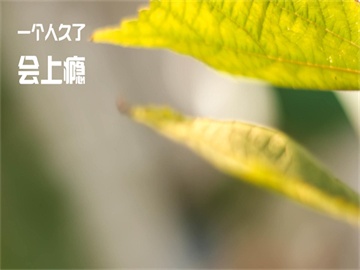 揭秘传闻，哈梅内伊隐匿地堡，接班人选浮出水面