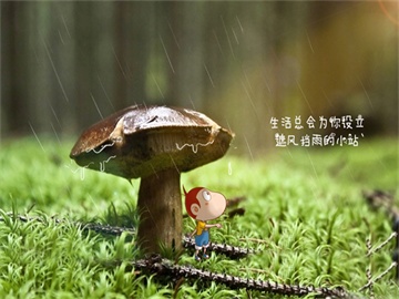 唐僧热潮，房产热销背后的故事